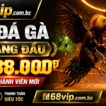 Liên hệ F168VIP | Hỗ trợ Casino, No Hu, Ban Ca 2 f168vip-livecasino-banner-2