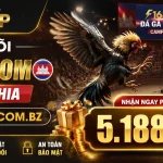Liên hệ F168VIP | Hỗ trợ Casino, No Hu, Ban Ca 1 f168vip-livecasino-banner-3